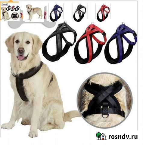 Одежда, шлейки, контейнеры под корм, ошейник Томск - изображение 1