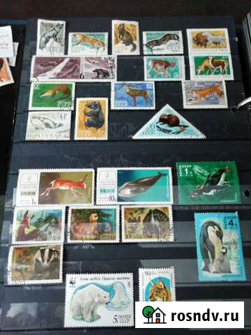 Марки СССР Пенза - изображение 1