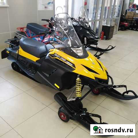 Снегоход Тикси 250 Люкс Кемерово - изображение 1