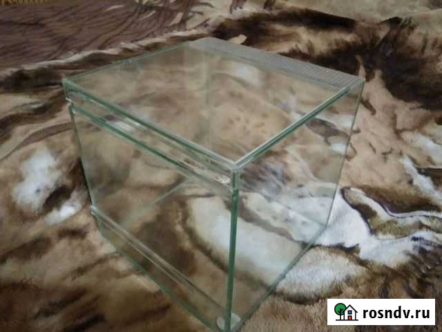 Террариум Тула - изображение 1