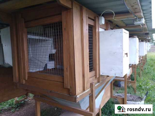 Клетка Великие Луки - изображение 1