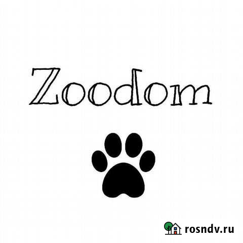 Передержка Красноярск - изображение 1