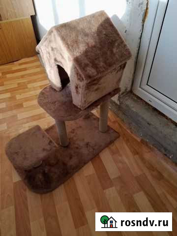 Когтеточка домик для кошки Оренбург - изображение 1