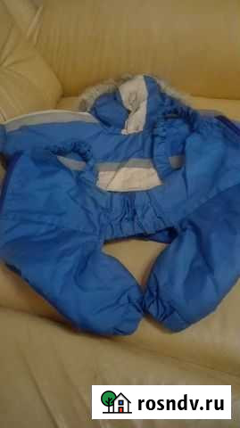 Зимняя одежда для йорка Симферополь - изображение 1