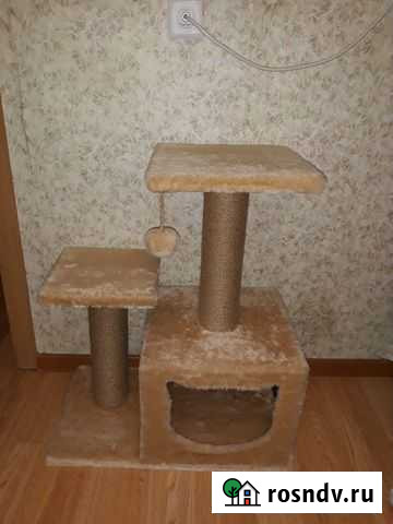 Когтеточка Мурино - изображение 1