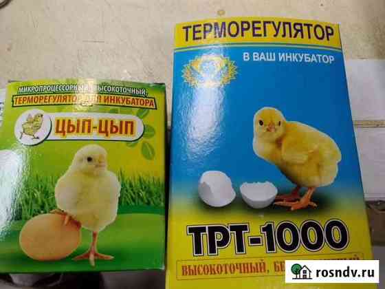 Терморегулятор для инкубатора Тамбов