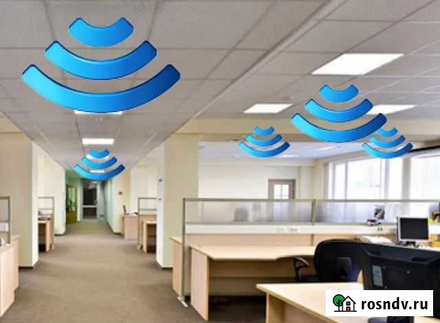 Интернет в офис от 10 до 100 мб сек Санкт-Петербург - изображение 1