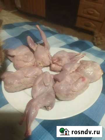 Перепелка тушки на корм животным Калуга - изображение 1