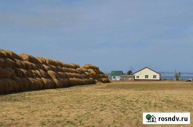 Фермерское хозяйство, животноводческая ферма Камышин - изображение 1