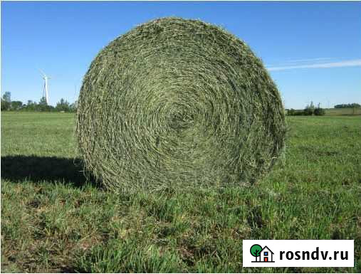 Сено в рулонах луговое Новохоперский - изображение 1