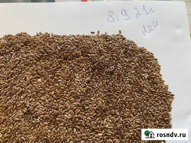 Лён Родионово-Несветайская - изображение 1