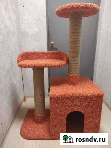 Когтеточка Оренбург - изображение 1
