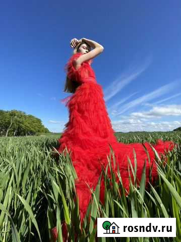 Фотосессии Калининград - изображение 1