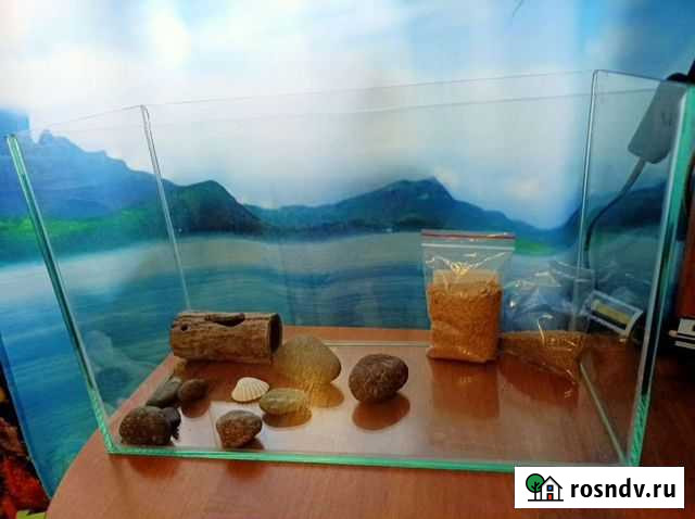 Аквариум Междуреченск - изображение 1