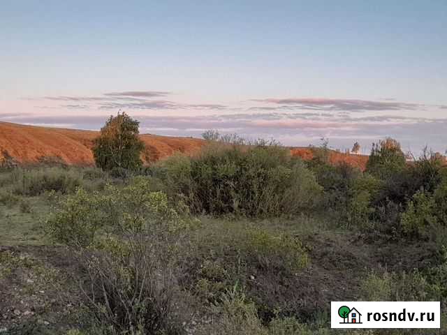 Корм для собак Троицк - изображение 1