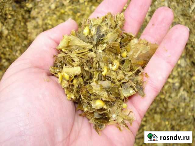 Силос Тбилисская - изображение 1