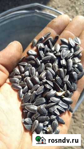 Продукты питания Маркс - изображение 1