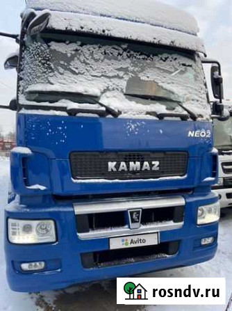 КамАЗ 5490, 2021 Санкт-Петербург - изображение 1