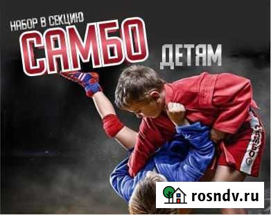 Тренировки по самбо Екатеринбург - изображение 1