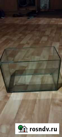 Аквариум Чита - изображение 1