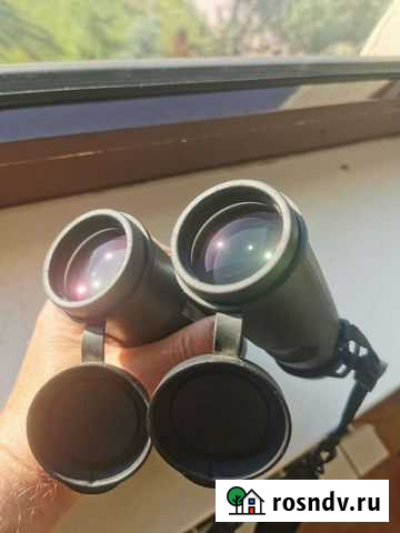 Бинокль bushnell elite 10x42 ed Нижний Новгород - изображение 1