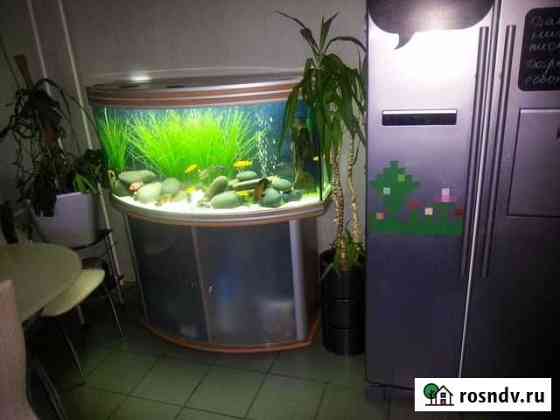 Аквариум Aquatlantis 275 литров Москва