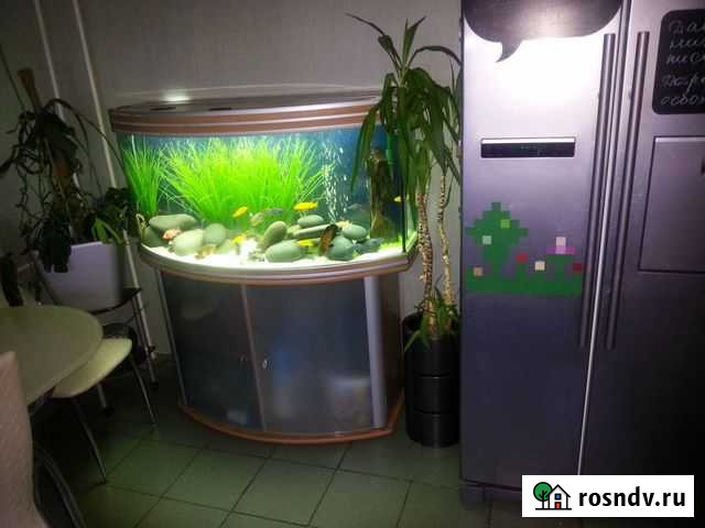 Аквариум Aquatlantis 275 литров Москва - изображение 1