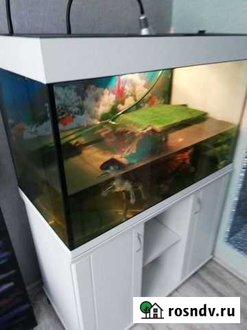 Аквариум Москва - изображение 1