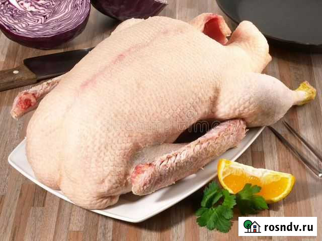 Продается мясо гуся Жигулевск - изображение 1