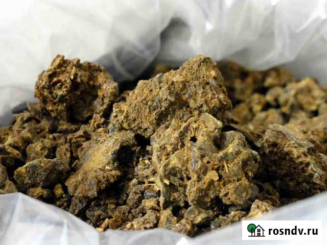 Прополис Новокузнецк - изображение 1