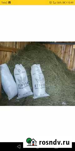 Сено в мешках Балезино - изображение 1