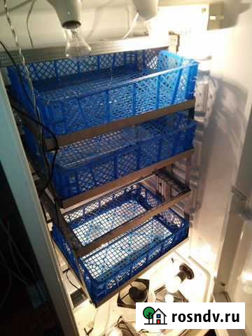 Инкубатор, меяю на корм Майкоп - изображение 1