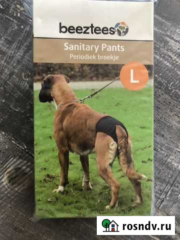 Трусы для собак Мурино - изображение 1