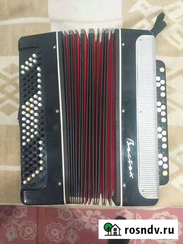 Баян Восток Иркутск - изображение 1