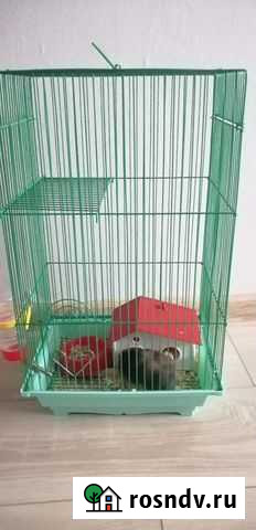 Клетка Калуга - изображение 1