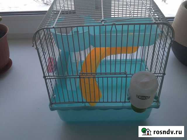 Клетка для грызунов Ангарск - изображение 1