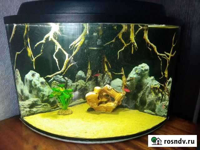 Аквариум Шадринск - изображение 1