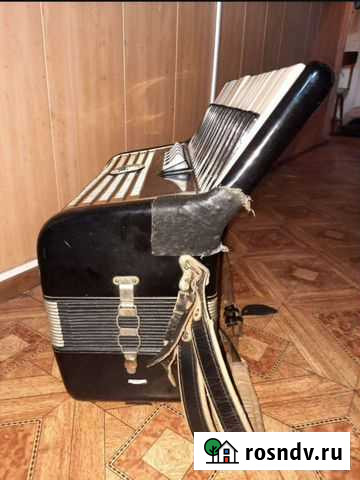 Баян россия Санкт-Петербург - изображение 1