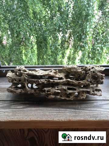 Камень песчаник для аквариума Подольск - изображение 1