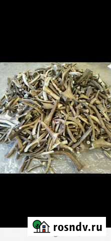 Рога Кг Смоленск - изображение 1