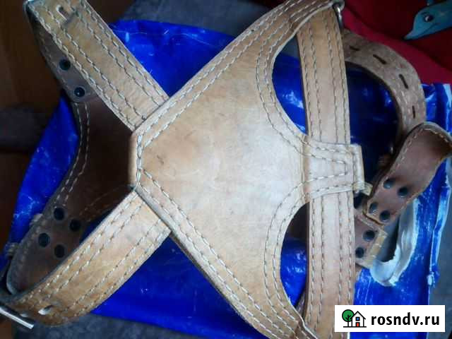 Шлейка кожаная для собаки Шемышейка - изображение 1