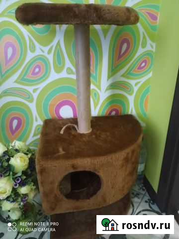 Домик для кошки с когтеточкой Астрахань - изображение 1