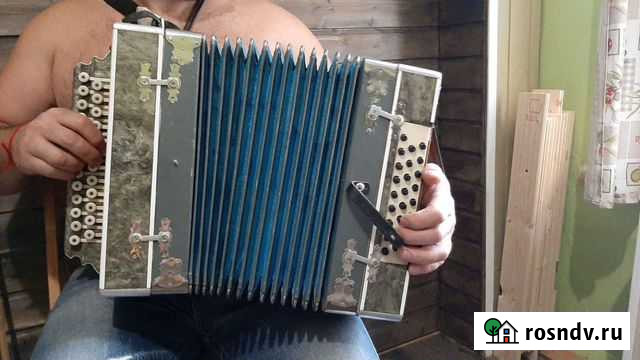 Гармонь Санкт-Петербург - изображение 1