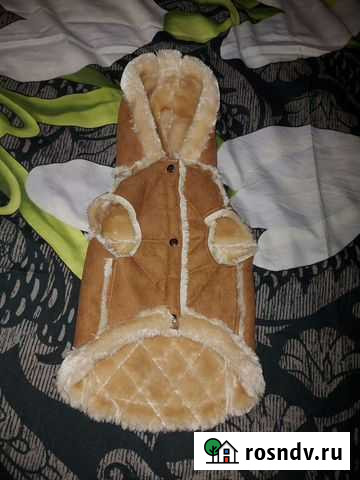 Дублёнка для собачки Ленинск-Кузнецкий - изображение 1