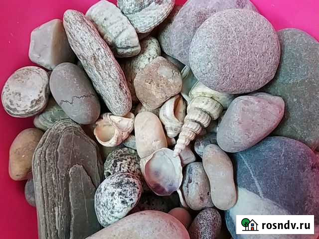 Аквариум на 10 л и камешки с ракушками и растениям Стрелецкое - изображение 1