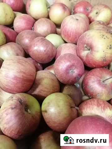 Яблоки оптом Новороссийск - изображение 1