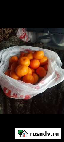 Мандарины абхазия Николаевка - изображение 1