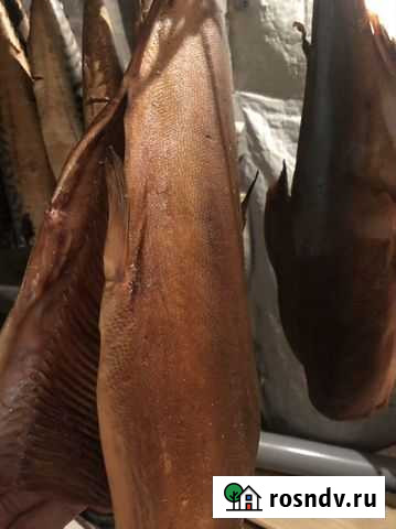 Рыба х/к и г/к, вяленная камбала Кострома - изображение 1