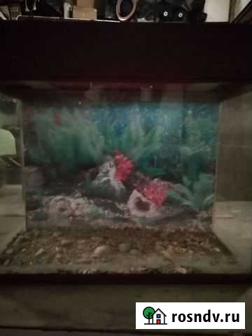 Аквариум Челябинск - изображение 1