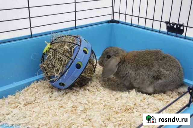 Подстилка для кроликов и морских свинок Таганрог - изображение 1